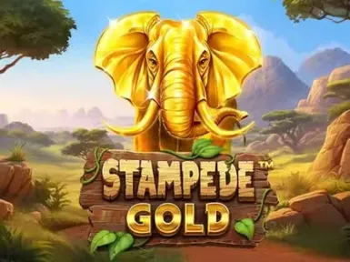 Koala Casino screenshot